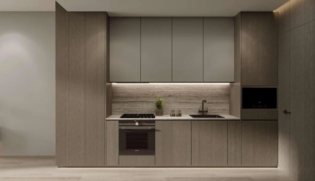 Apartamentos de 2 DORM