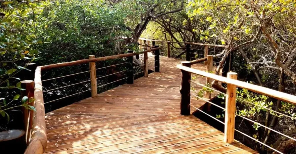 Top 10 Attractions in Sharjah