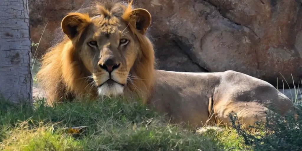 Top 10 Attractions in Sharjah