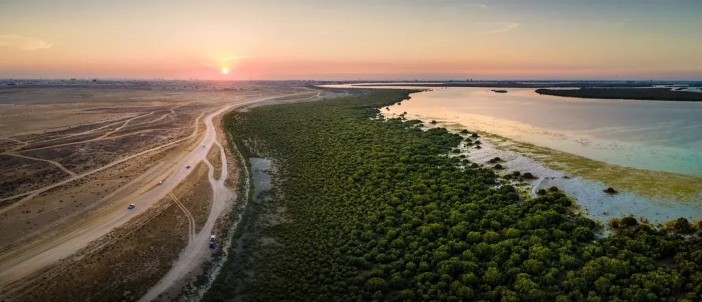 Overview of Umm Al Quwain: Real Estate, Districts, and Infrastructure