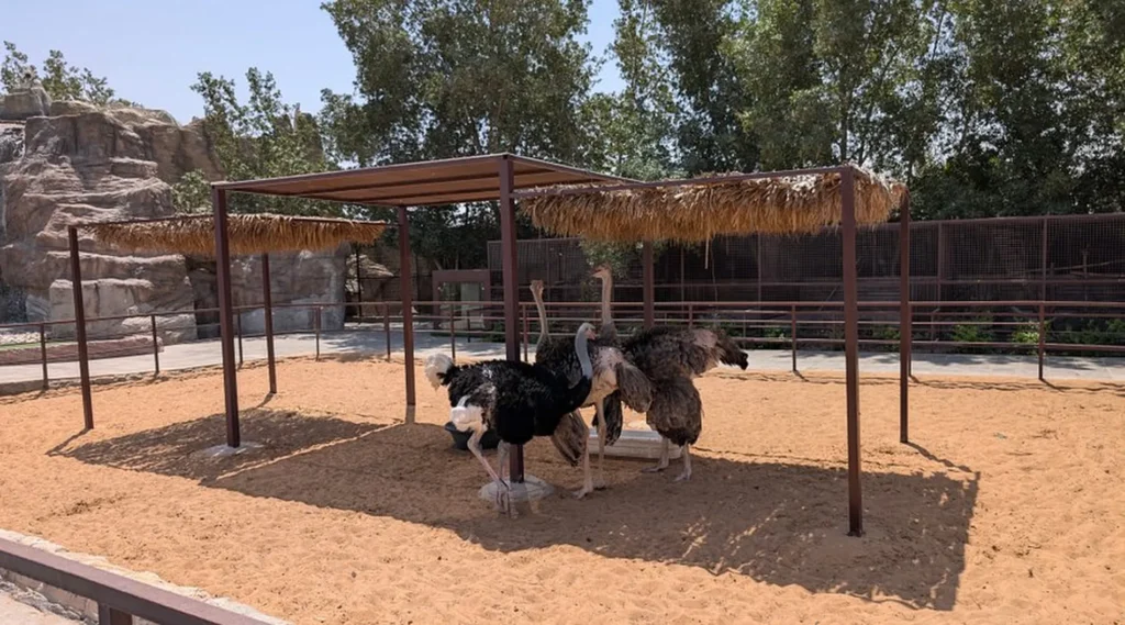 Top 10 Attractions in Umm Al Quwain